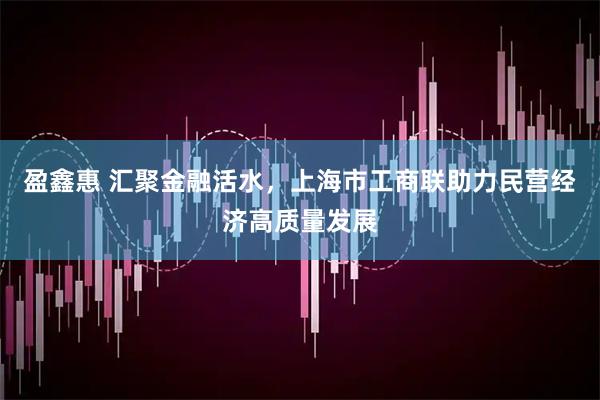 盈鑫惠 汇聚金融活水，上海市工商联助力民营经济高质量发展