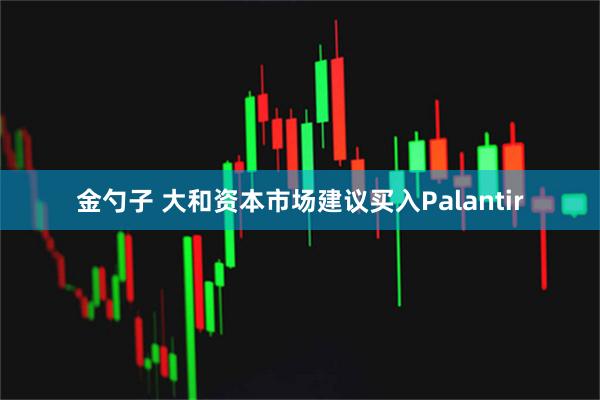 金勺子 大和资本市场建议买入Palantir
