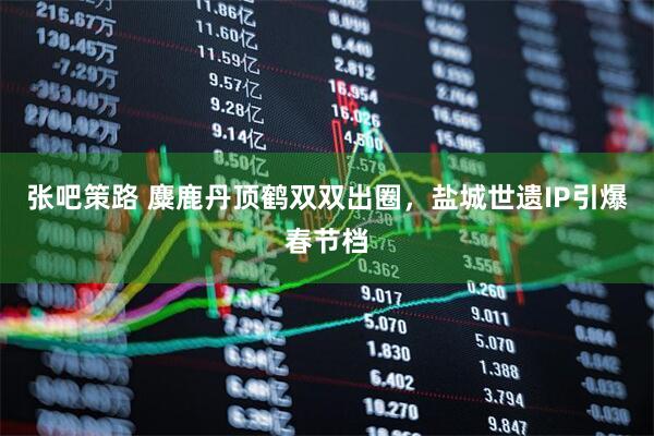 张吧策路 麋鹿丹顶鹤双双出圈，盐城世遗IP引爆春节档