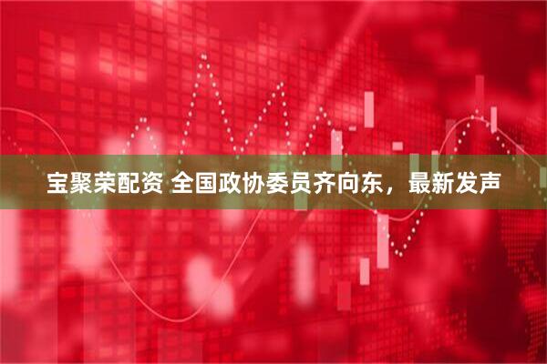 宝聚荣配资 全国政协委员齐向东，最新发声