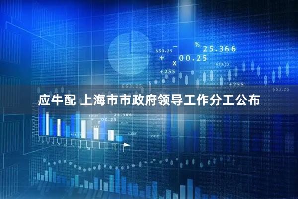 应牛配 上海市市政府领导工作分工公布