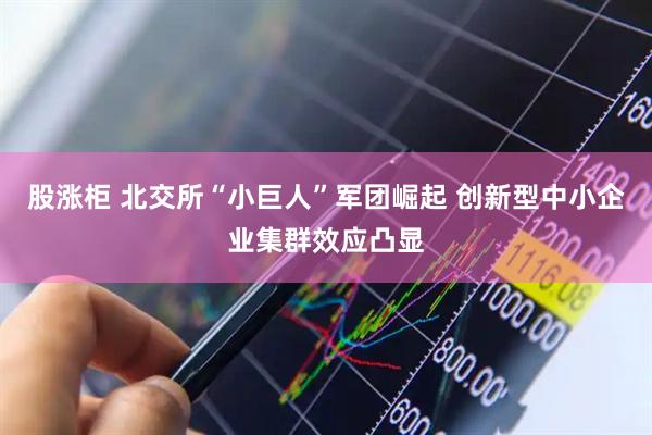 股涨柜 北交所“小巨人”军团崛起 创新型中小企业集群效应凸显