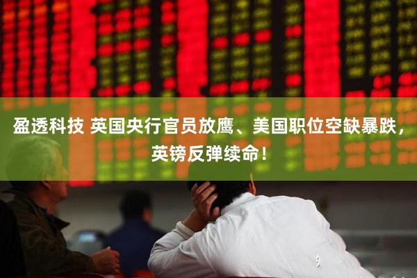 盈透科技 英国央行官员放鹰、美国职位空缺暴跌，英镑反弹续命！